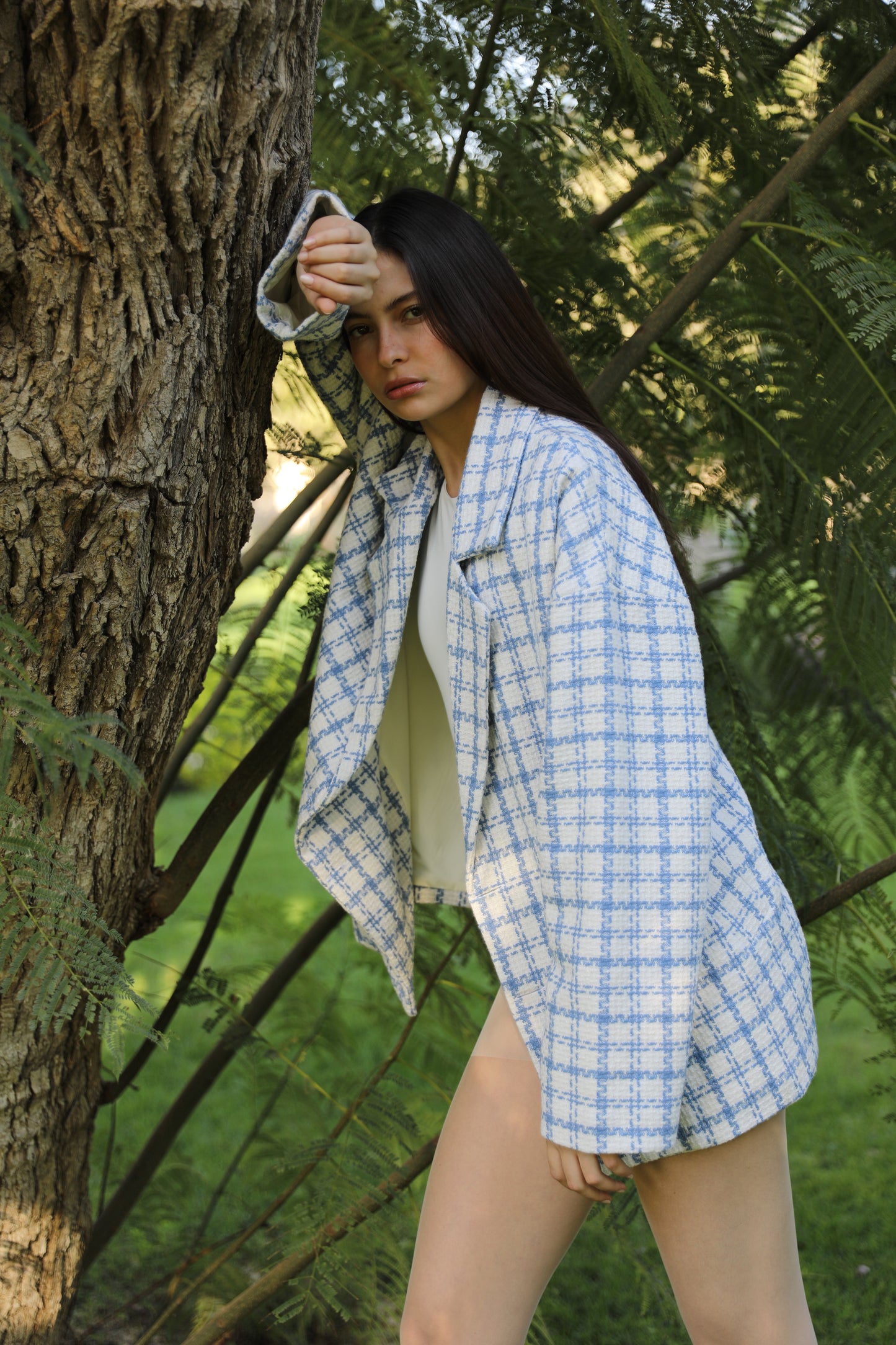 The Blue Tweed Jacket