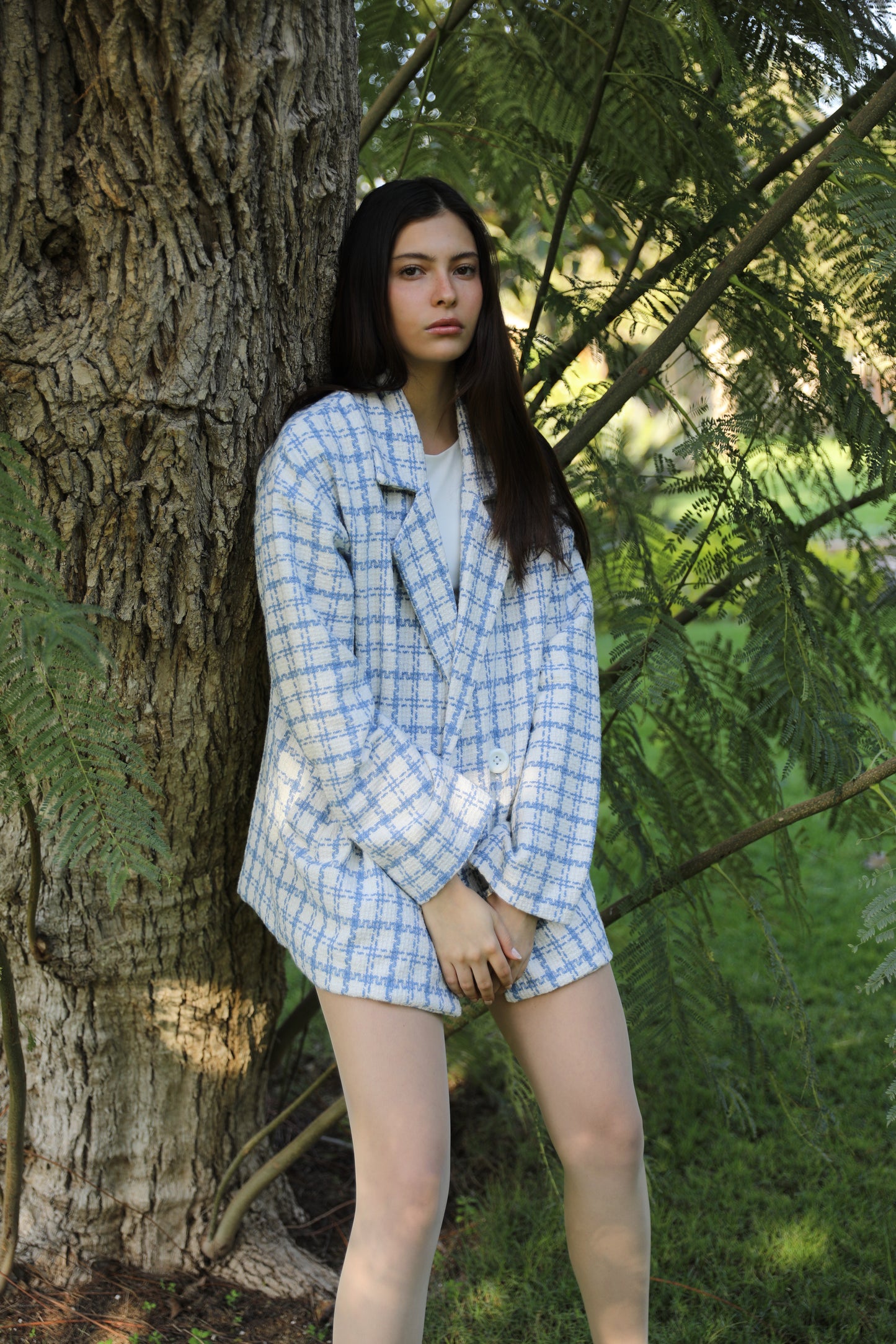 The Blue Tweed Jacket