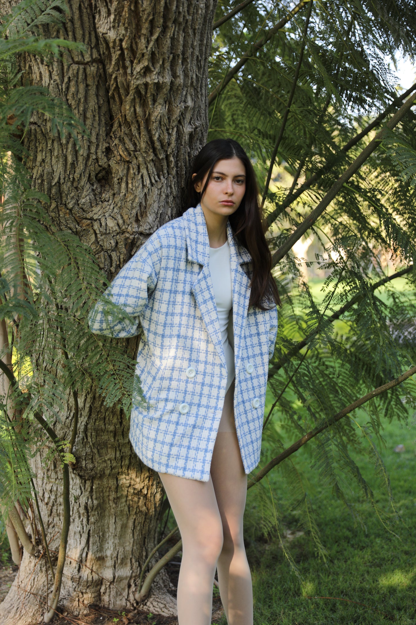 The Blue Tweed Jacket